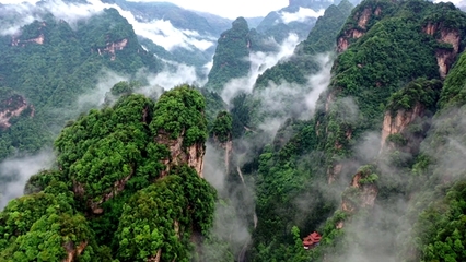 張家界武陵源 “旅游+”模式，激活全域旅游新動(dòng)能