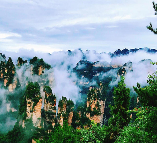 張家界葛根粉 山水間的自然饋贈(zèng)，旅途中的養(yǎng)生珍品