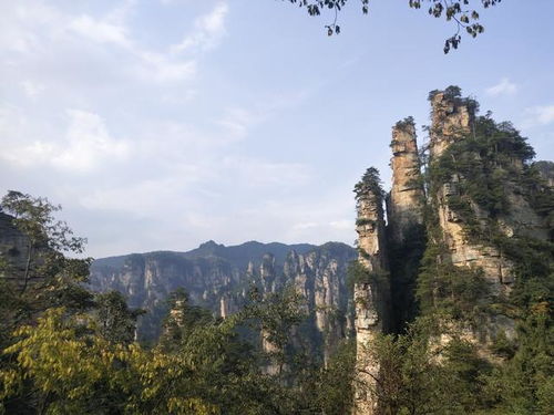 張家界旅游全攻略 一篇解鎖絕美奇峰與人間仙境的吃住行門(mén)票指南