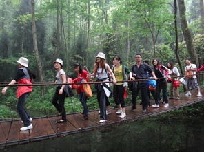 張家界旅游全攻略 注意事項、必買特產與經典游玩路線